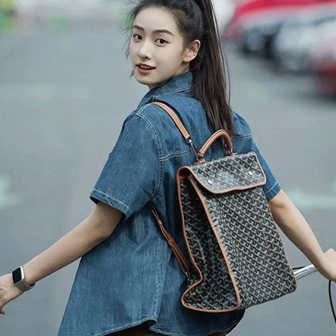 goyard saint‑leger structured multi‑scene travel backpack bag